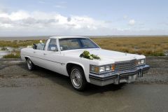 CADILLAC FLEETWOOD (Photo 1)