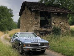 Louer une CHEVROLET Caprice Classic de de 1978 (Photo 1)