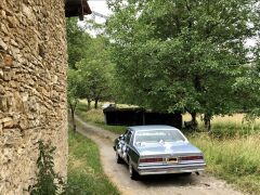 Louer une CHEVROLET Caprice Classic de de 1978 (Photo 3)