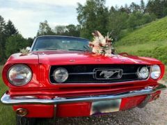 Louer une FORD Mustang Cabriolet de de 1966 (Photo 3)
