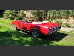 Louer une FORD Mustang Convertible 289Ci de de 1967 (Photo 2)