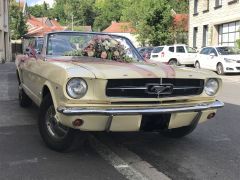 Louer une FORD Mustang de de 1964 (Photo 2)