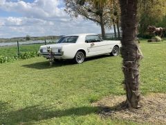 Louer une FORD Mustang de de 1966 (Photo 5)