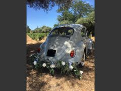 Louer une VOLKSWAGEN Coccinelle de de 1963 (Photo 4)