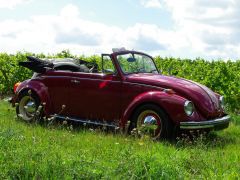 VOLKSWAGEN Coccinelle (Photo 1)